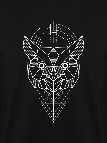 Eule Polygon