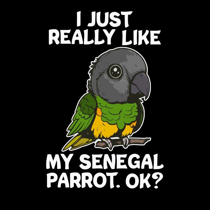Senegal Parrot Carrot Parrot Kawaii