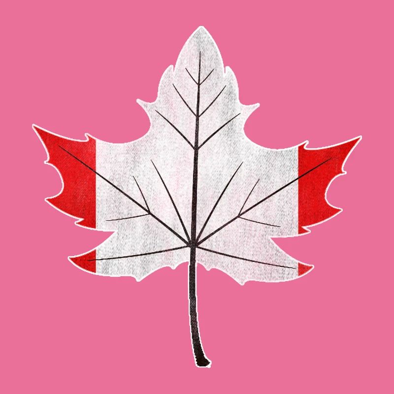 Canada Canada maple leaf flag nationality