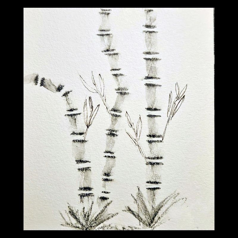 Bamboo Drawing in Ink Style