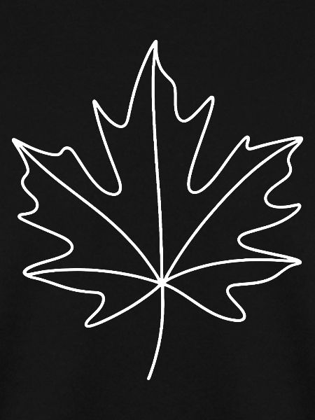 White maple contour