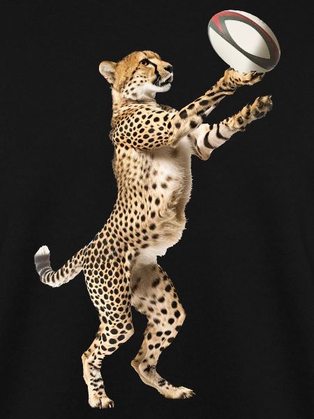 Gepard