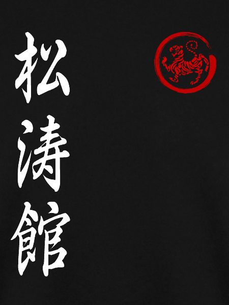Shotokan Karate Stil Kampfkunst