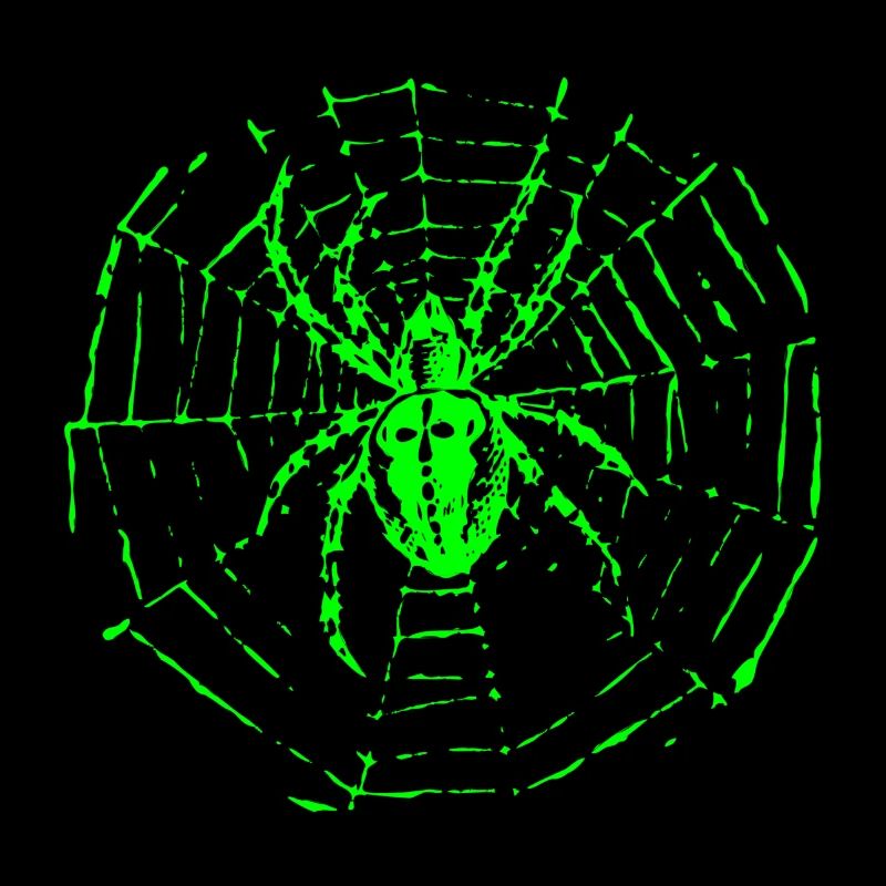 Araignée de jardin