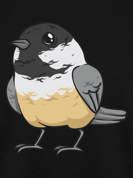 Bird Chickadee Bird Watching