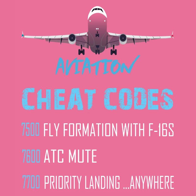 Aviation cheat codes