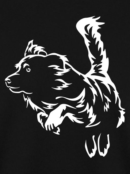 Australian Shepherd "Black Edition"