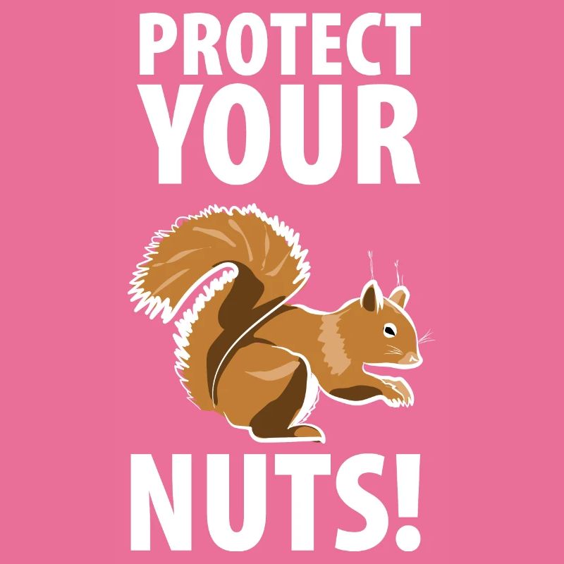 Squirrel Eichhörnchen Dieb Tierpfleger