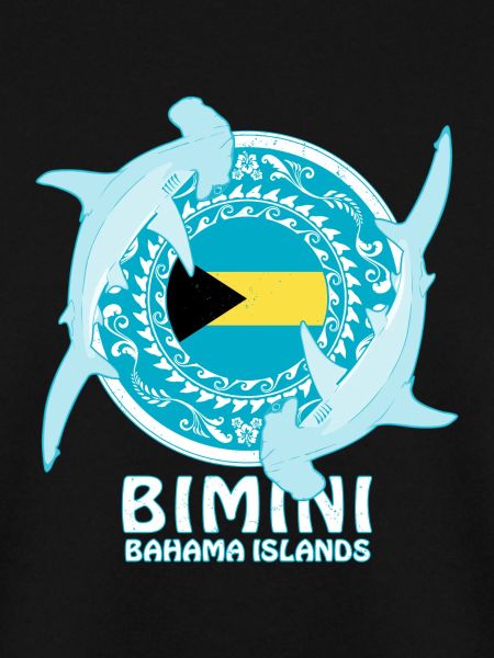 Bimini Hammerhai