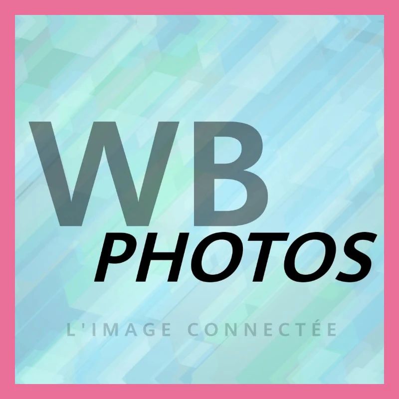 HELLBLAUES WBP-LOGO