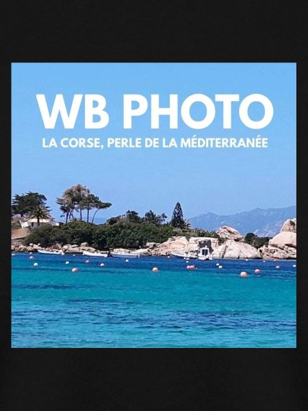 WBP 1 MINIATUR