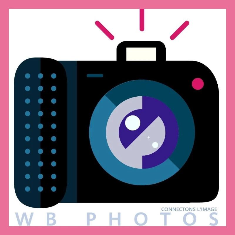 LOGO WBP