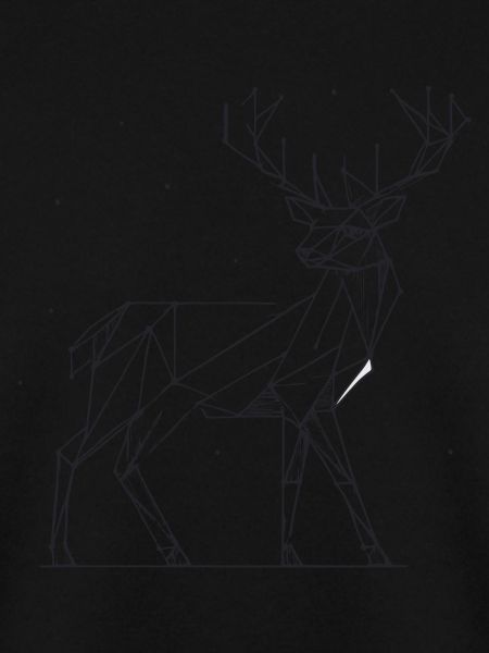 Hirsch 2D Linien