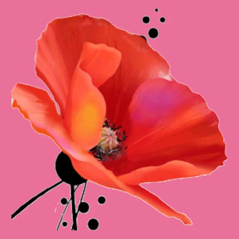Mohn