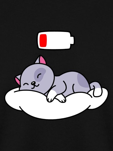 Katze Schlafen Niedlich