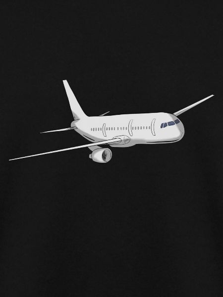 Flugzeug
