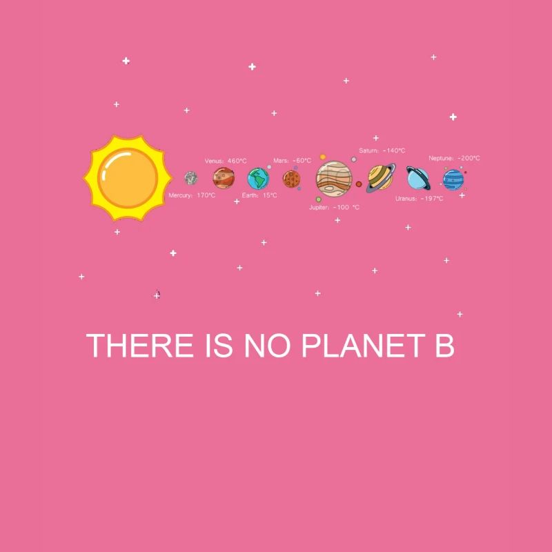 There is no Planet B solar system