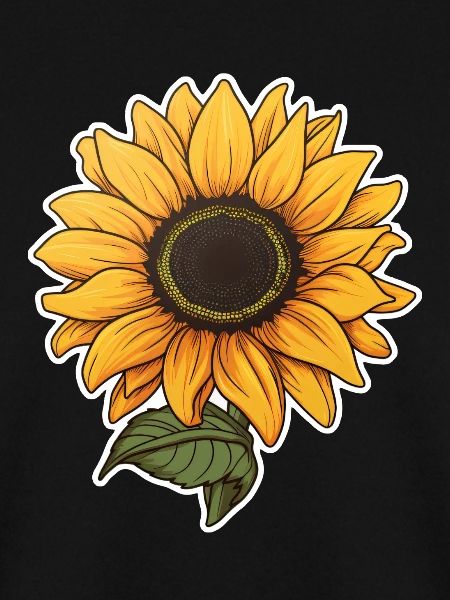Sonnenblume