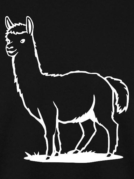 Alpaca T-shirt Gift