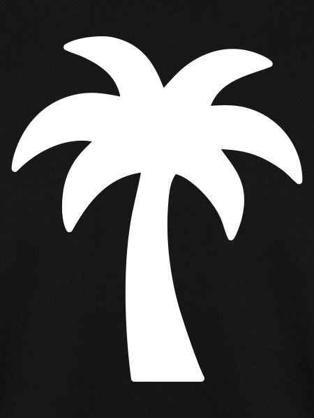 Palme - endloser Sommer