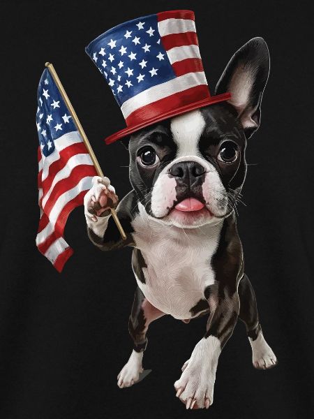 Boston Terrier