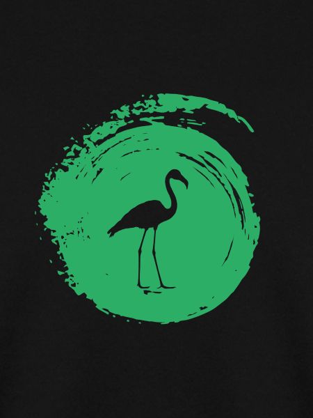 Flamingos Flamingo Flamingo Wasservogel