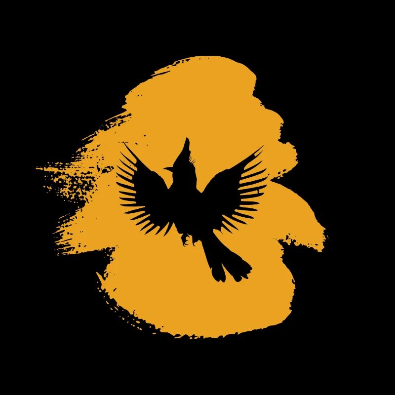 Drôle d’oiseau calopsitte