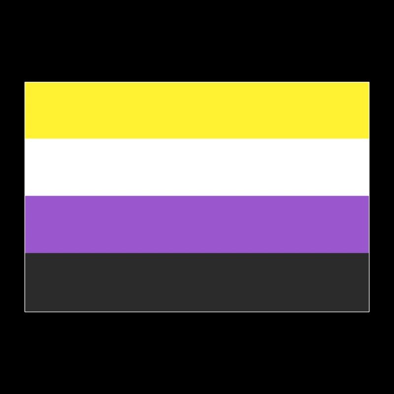 Non-binary Flagge