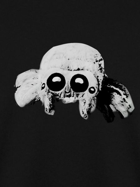 Spider, tarantula illustration, gray