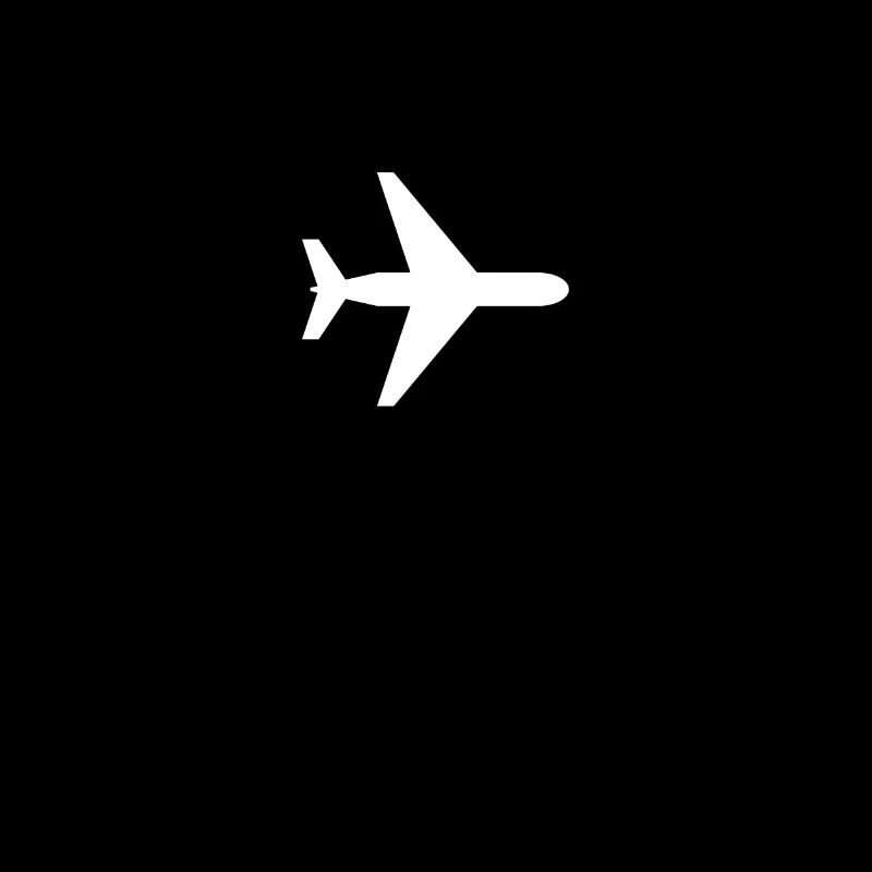 Das Flugzeug