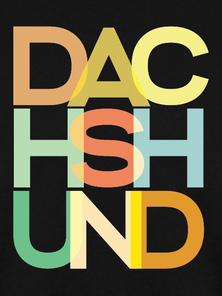 Dackelhund Hund Bunt