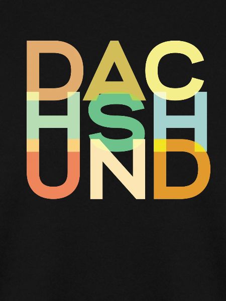 Dackelhund Hund Bunt