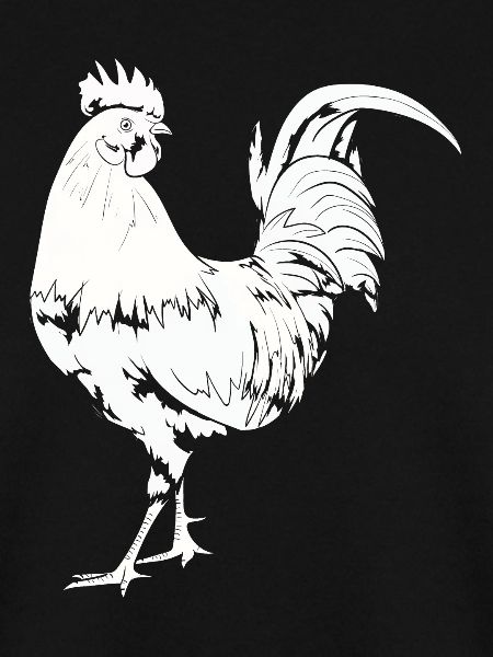 Rooster Chicken Rooster