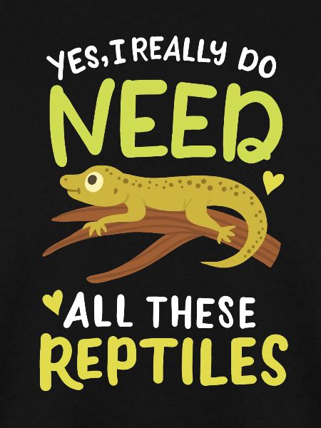 Reptil Eidechse Herpetologe