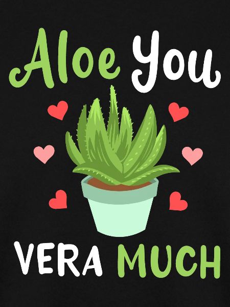 Aloe Vera Sukkulente