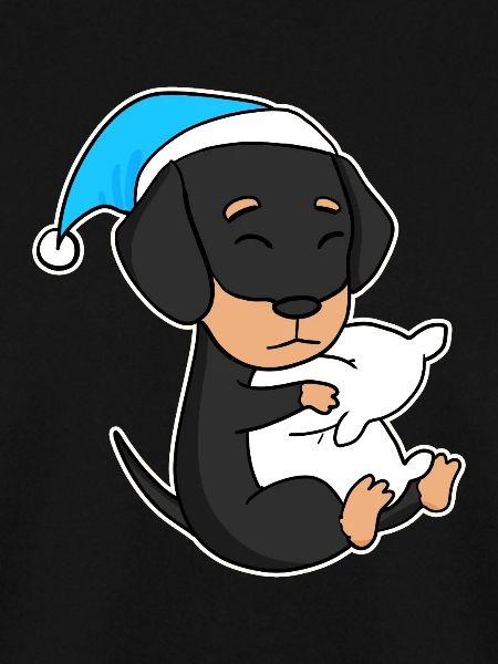 Hund Hunderasse Dackel Dachshund