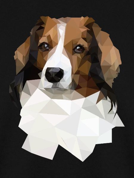 Kooikerhondje im Polygon Style