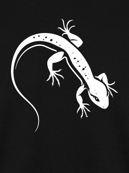 Lizard Silhouette Contrasting Salamander
