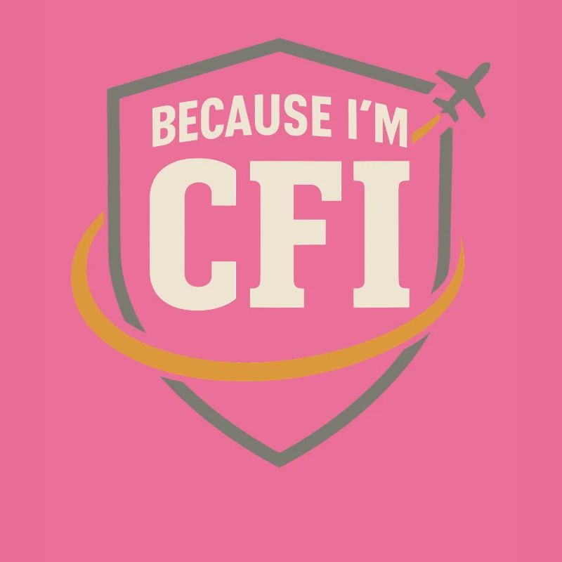 Flight Instructor Cfi Pilot Aviation Instructor