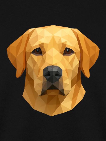 Polygon Labrador Retriever Gift