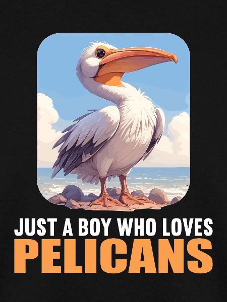 Pelicans Pelican