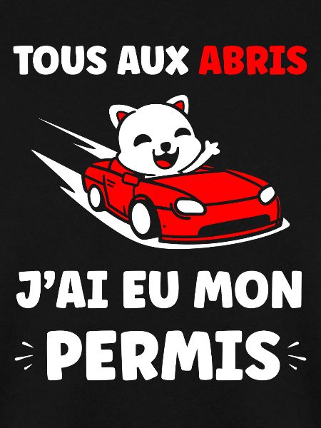 Panda in Red Cabrio Allowed