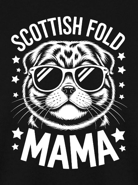 Schottische Faltohrkatzen Scottish Fold Geschenk