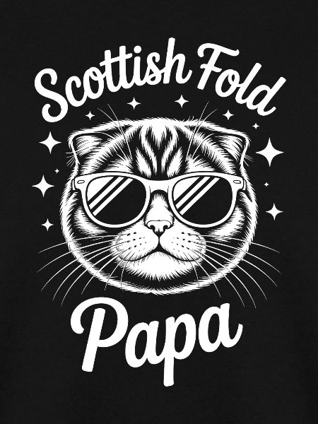 Schottische Faltohrkatzen Scottish Fold Geschenk
