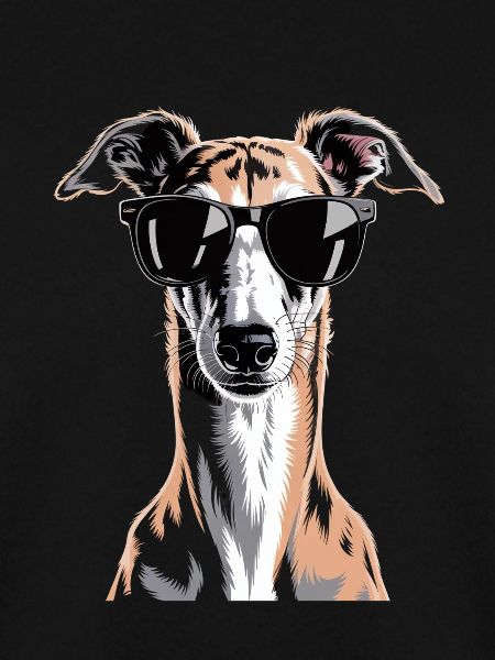 Greyhound Windhund