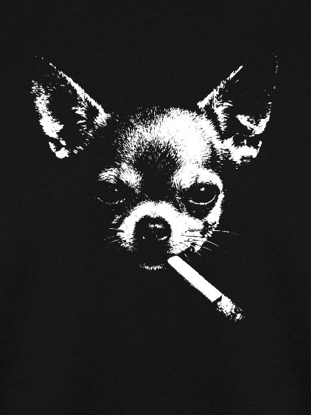 Chihuahua Noir with cigarette