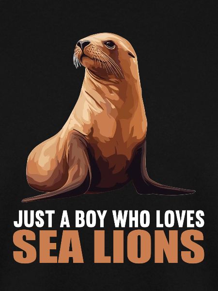 Seelöwen Seelöwe