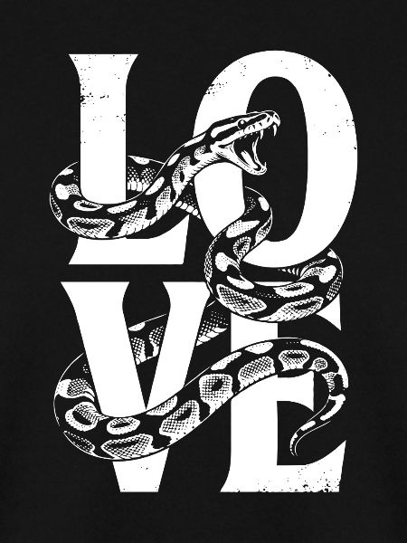 Königspython Schlangen LOVE Terrarium Python