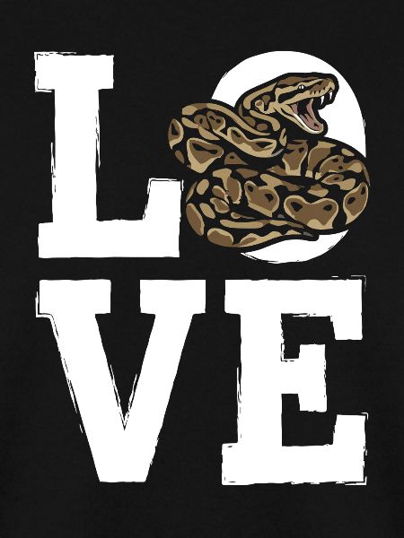 Königspython Schlangen LOVE Terrarium Python