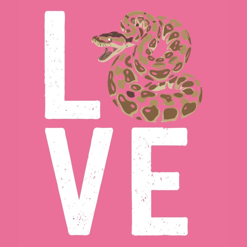 Königspython Schlangen LOVE Terrarium Python